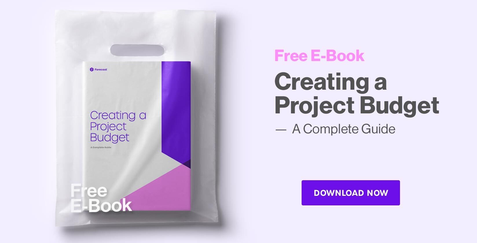 Download Creating a Project Budget